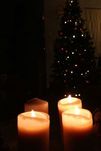 Close-up of illuminated christmas tree at night