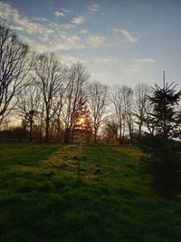 Bare trees on field against sky during sunset