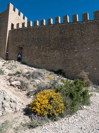 architecture