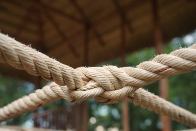 Close-up of rope tied up on wood