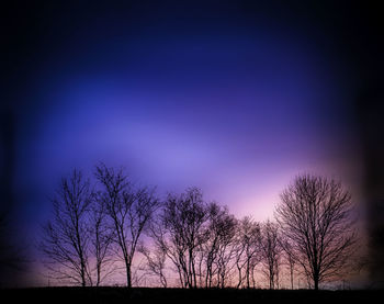 Low angle view of bare trees against sky