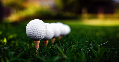 Golf ball on grassy field