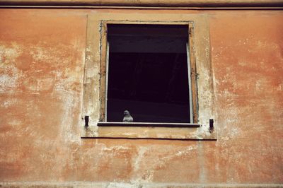 Full frame shot of window of old building