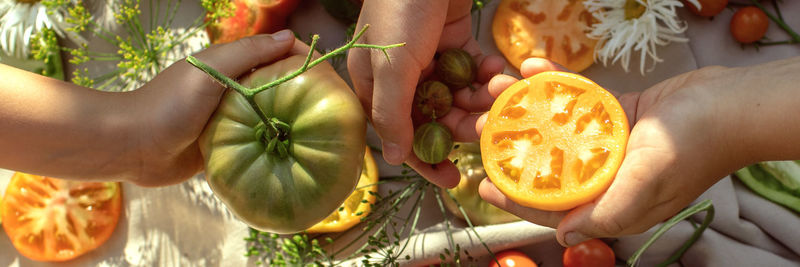 Midsection of woman holding fruits