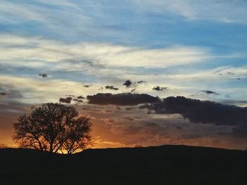 Silhouette of trees at sunset
