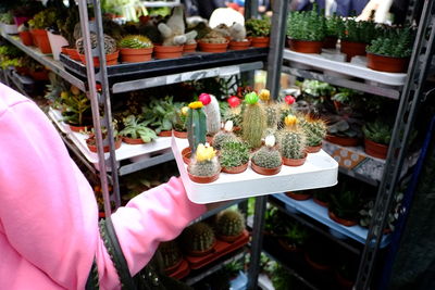 Close-up of hand holding food