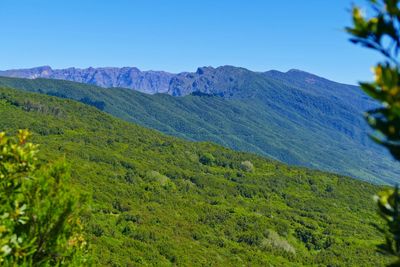 Scenic view of mountains against clear sky