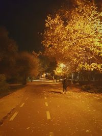 People walking on illuminated street during autumn at night