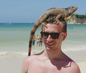 High angle view of man with chameleon standing on beach