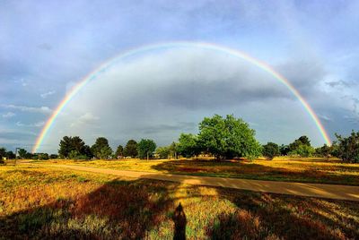 Rainbow over field