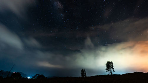 Low angle view of trees against sky at night