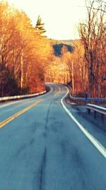 Empty road along trees