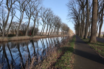 Bare trees by lake against sky