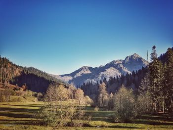 Scenic view of field against clear blue sky