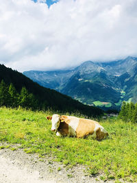 View of a horse on field against mountains