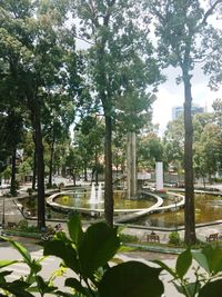 Park by trees in city