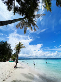 Palm trees on beach against sky