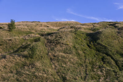 Scenic view of landscape against blue sky