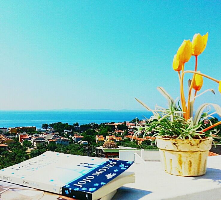 horizon over water, clear sky, sea, copy space, water, blue, plant, growth, potted plant, nature, beauty in nature, sunlight, built structure, tourist resort, table, beach, day, high angle view, scenics, sky