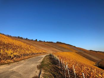 Road amidst field against clear blue sky