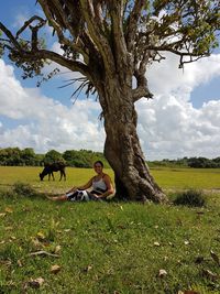 View of a horse on field