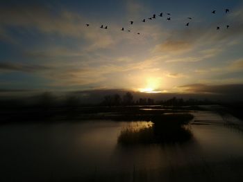 Silhouette birds flying over river against sky during sunset