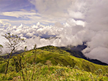 Scenic view of landscape against sky