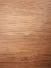 Close-up of wooden surface