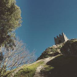 Low angle view of trees against clear blue sky