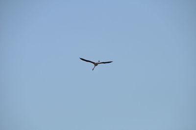 Low angle view of airplane flying against clear sky