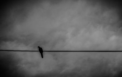 Low angle view of tree against sky
