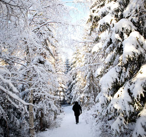 Bare trees on snow covered landscape