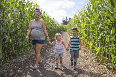 Pregnant mother enjoying corn maze with her two children,