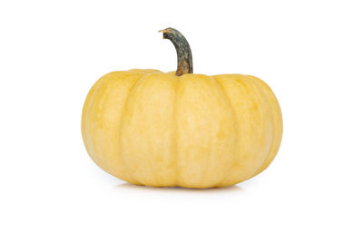 Close-up of pumpkin against white background