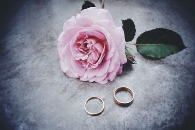 High angle view of rose and wedding rings on table