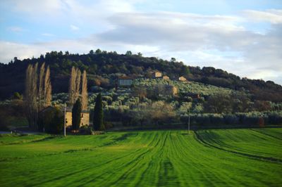 Scenic view of field against sky