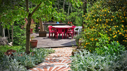 Empty chairs and tables in park