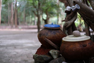 Pots by tree on land