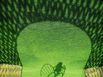 FULL FRAME SHOT OF GREEN LEAF ON GRASS