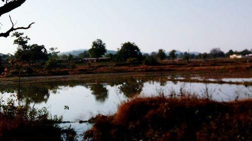 Scenic view of lake against clear sky