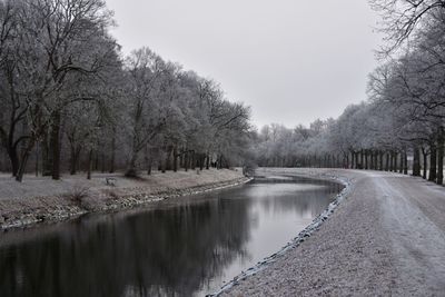Canal amidst bare trees against sky