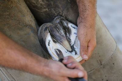 Midsection of man holding fish