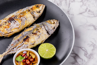 High angle view of fish in bowl on table