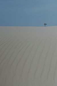 Scenic view of desert