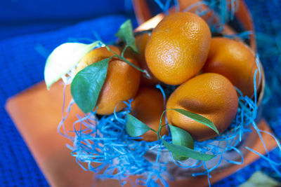 High angle view of fruits in container