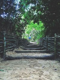 Empty footpath along trees