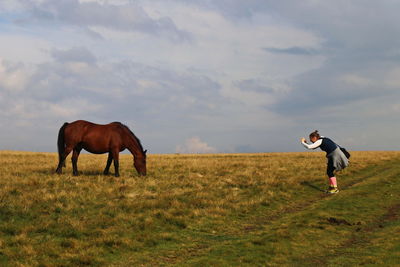 Horses standing in a field