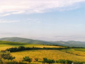 Scenic view of landscape against sky