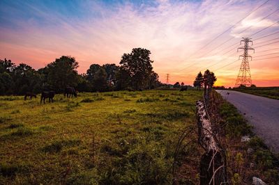 Scenic view of grassy field against cloudy sky