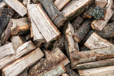 Oak firewood close-up. stacked dry firewood as a background.